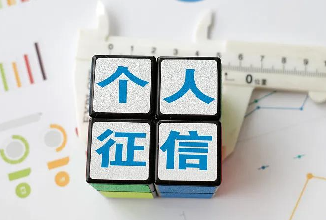 个人征信查询报告